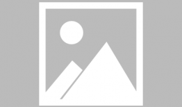 abo 漫画,基因与命运的交织